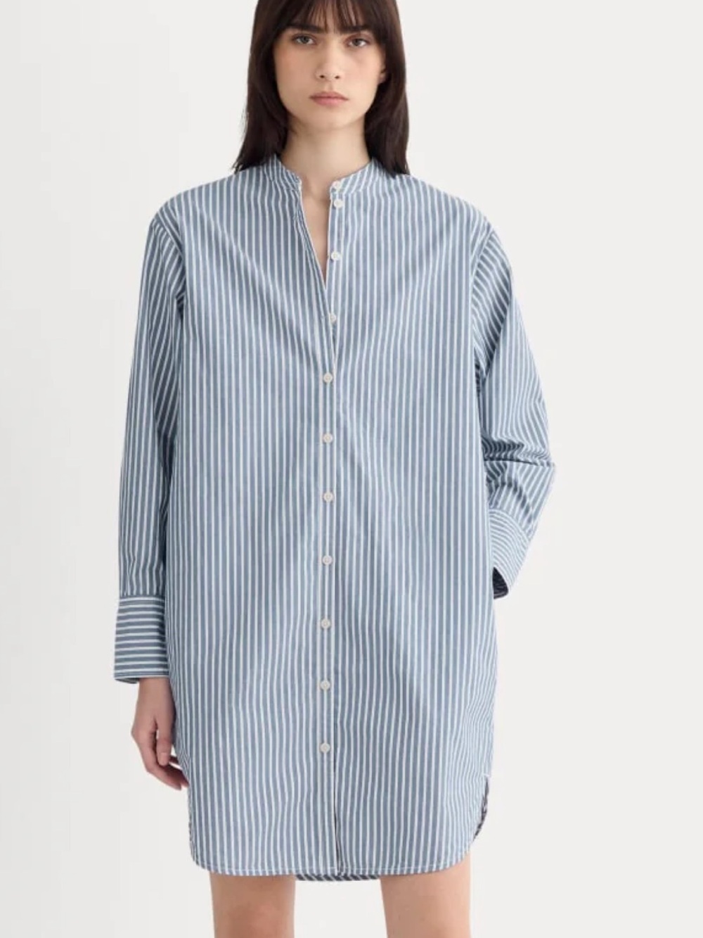 Everlane | THE RELAXED SHIRT DRESS IN ULTRASOFT COTTON | Navy & White Striped 00